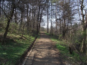 Forest path