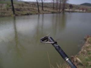 Fishing rod