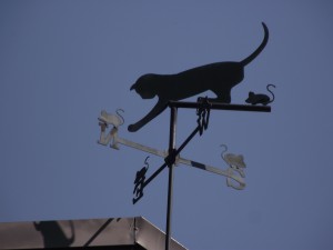 Weathercat :)