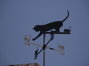 Weathercat :)