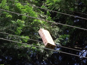 A brick, attached to a power line. Your guess is as good as mine ...
